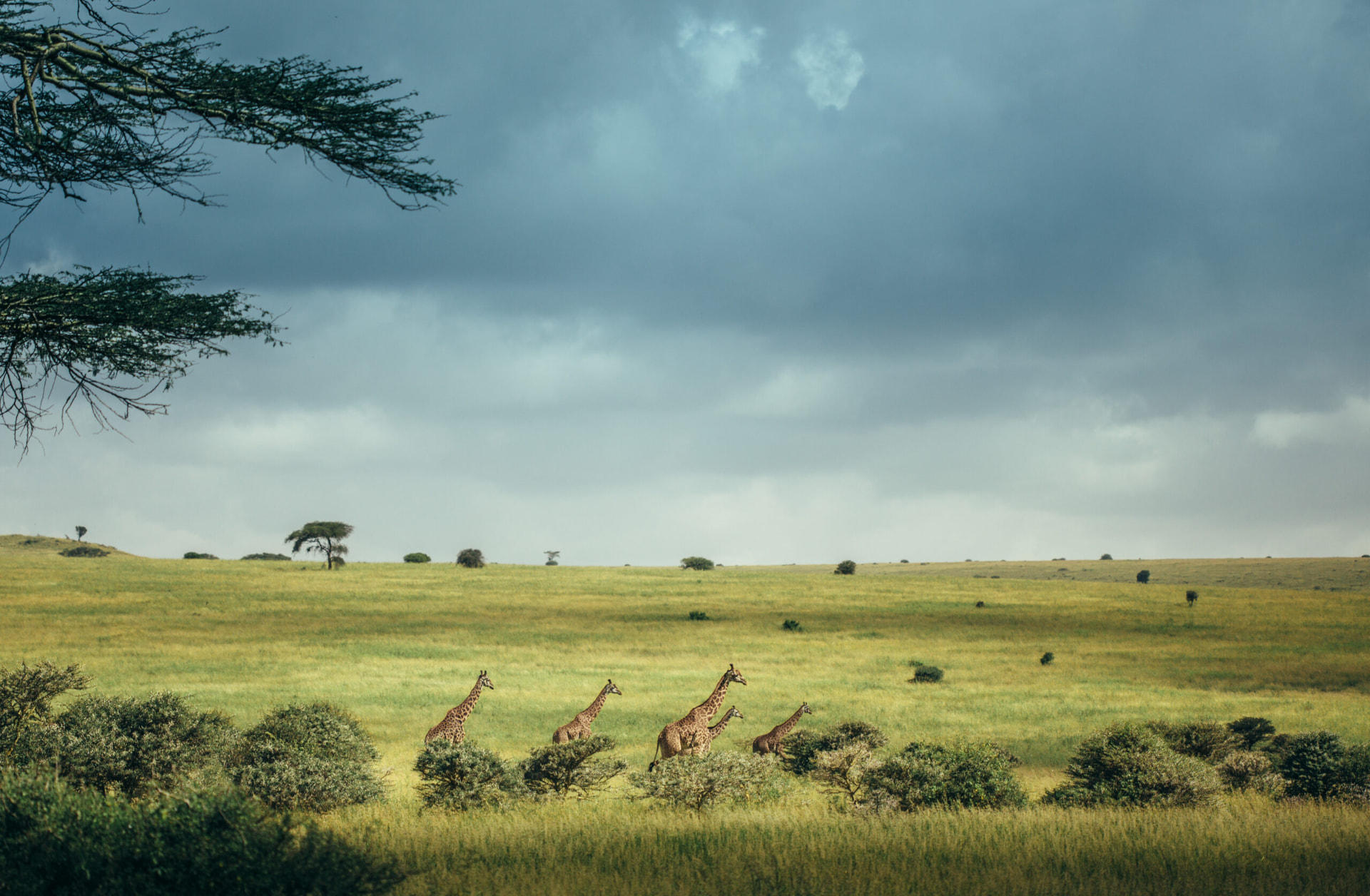 Lodge accommodation near Nairobi National Park